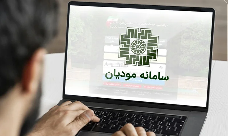 اهمیت سامانهمودیان