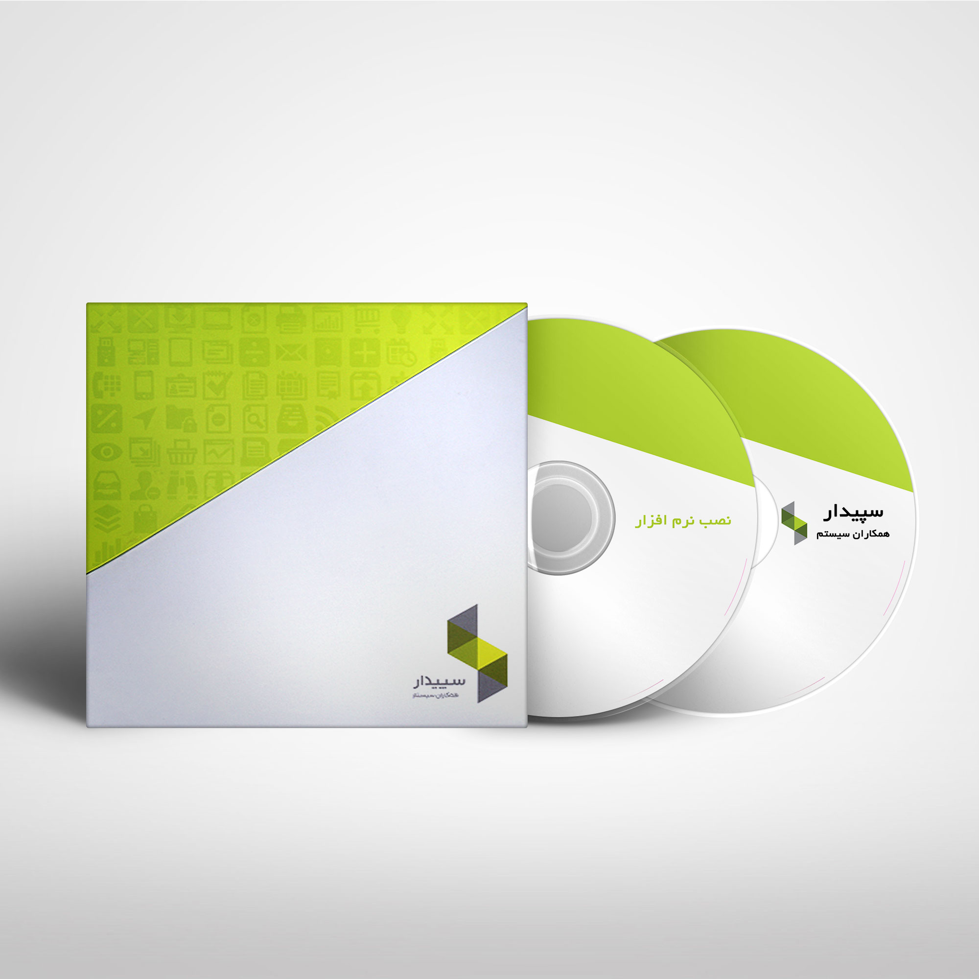 اهمیت سیستم حسابداری سپیدار